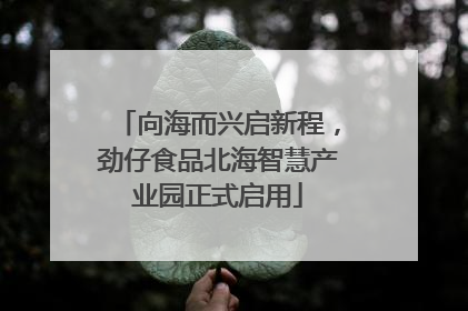 向海而兴启新程，劲仔食品北海智慧产业园正式启用